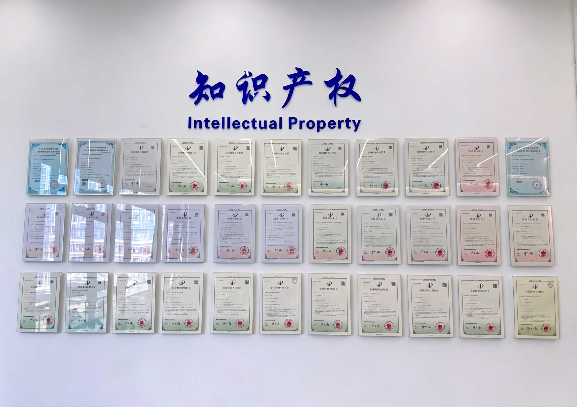 知识产权.jpg